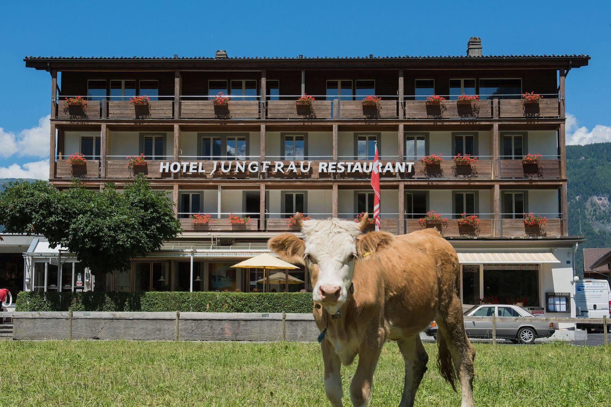 Jungfrau Hotel Wilderswil Buitenkant foto